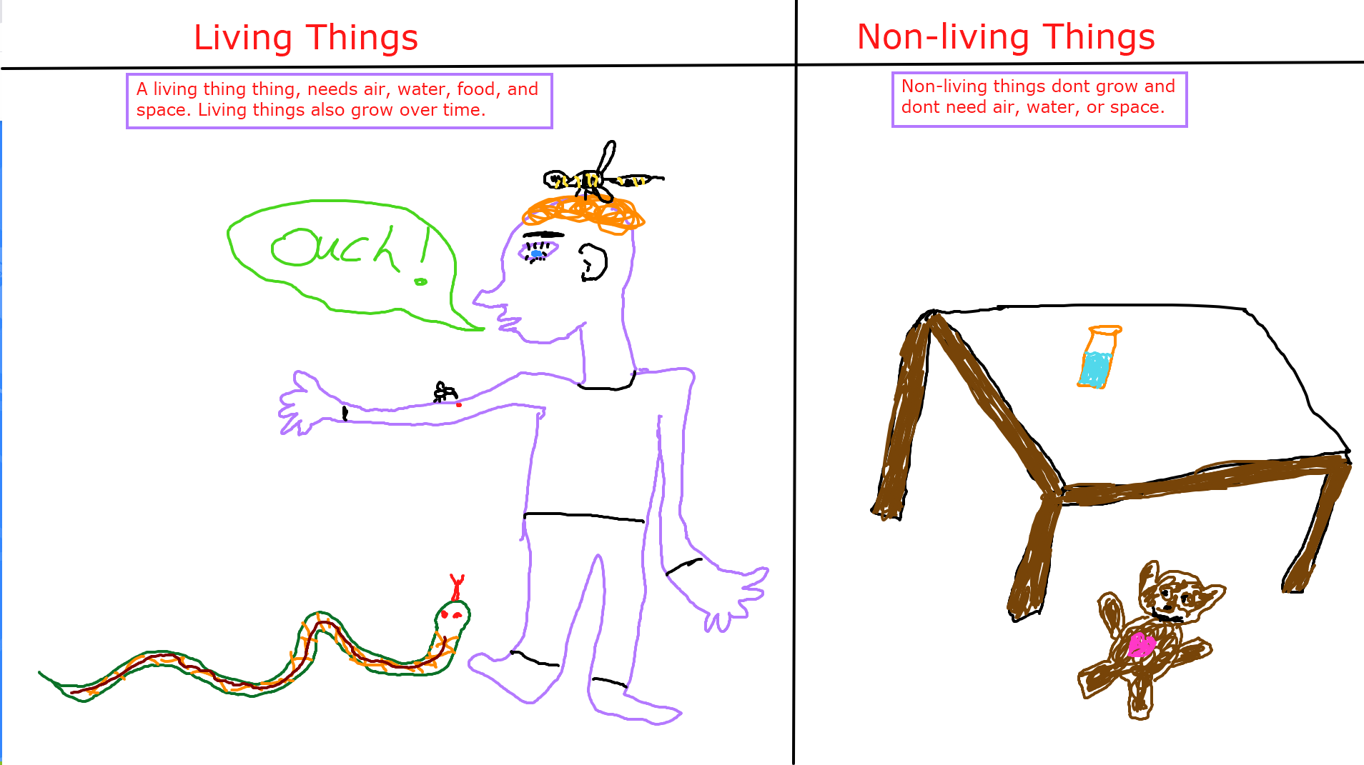 Living-Non-living-comparison